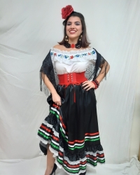 Costume Carmensita